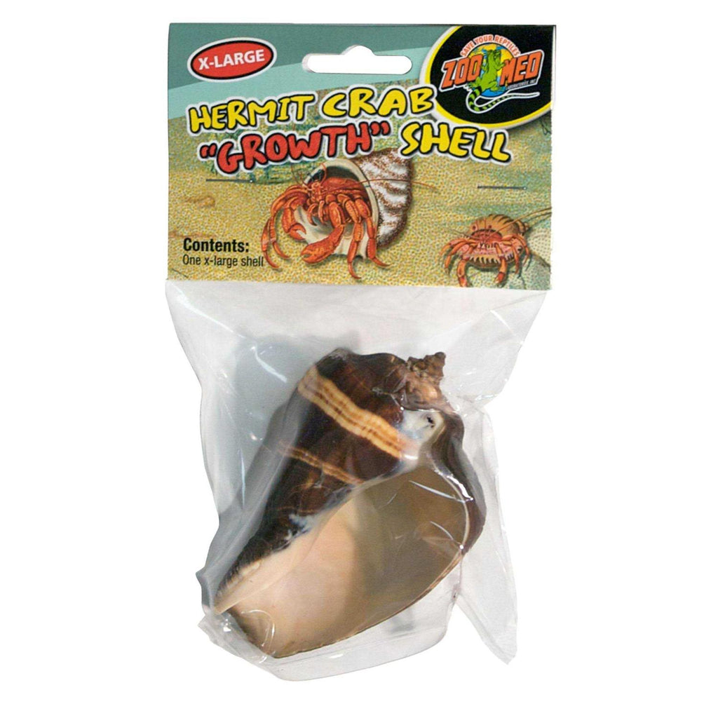 Hermit Crab Growth Shell D52681