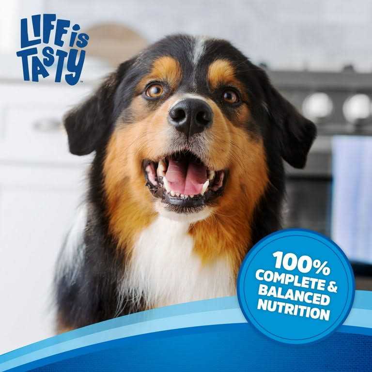 Beef Dog Food Q368