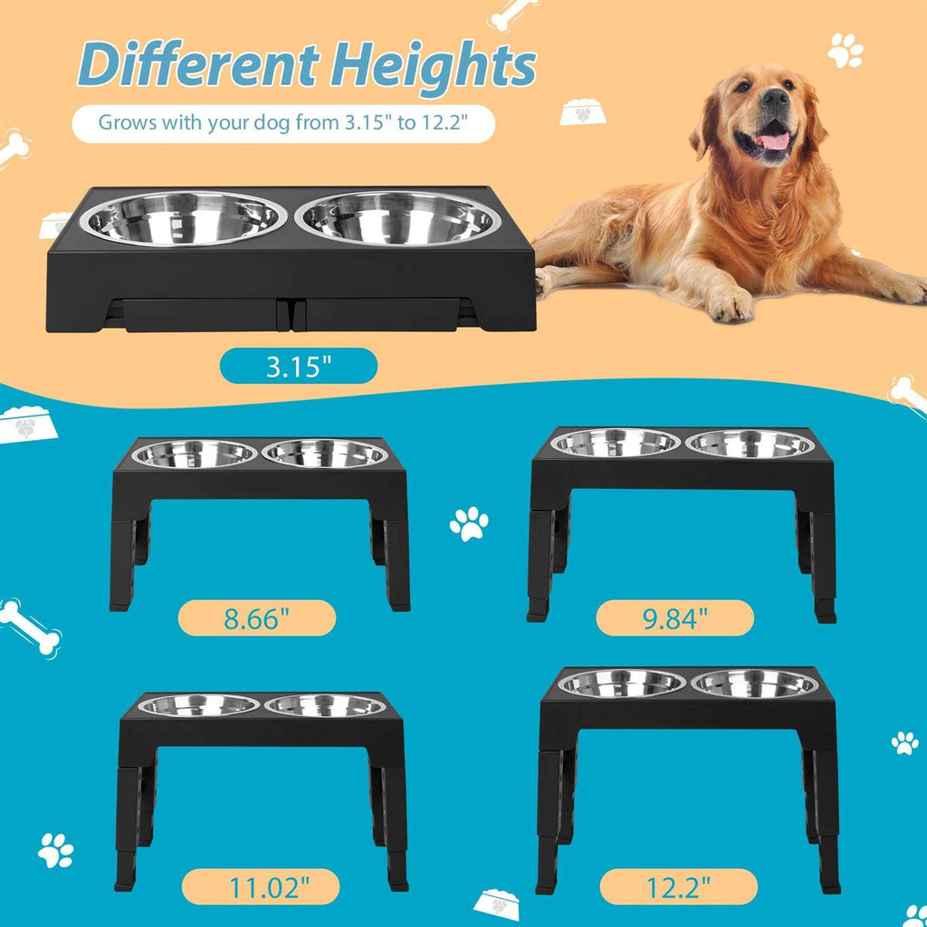 Elevated Dog Bowls with 2 Stainless Steel Bowls T4520