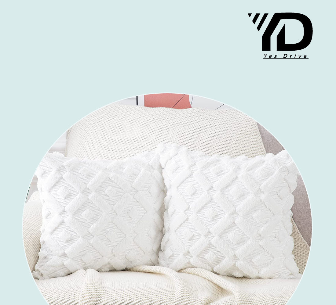 Set of 2 Soft Plush Velvet Decorative Throw Pillow Covers Square Cushion Case L7057