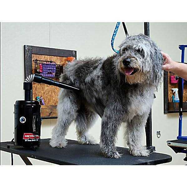 Hands-Free Pet Dryer M291