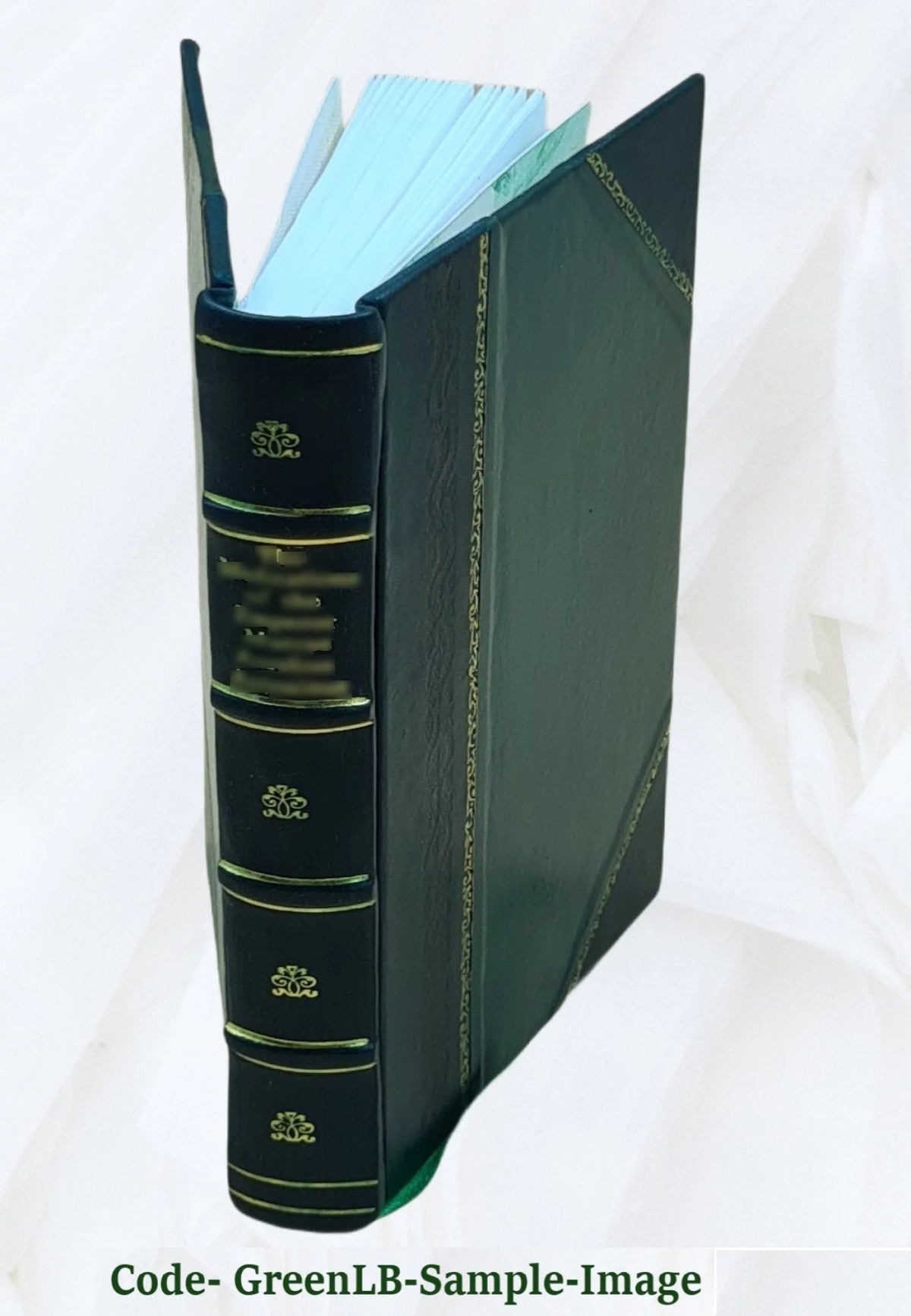 Leather Bound A8617