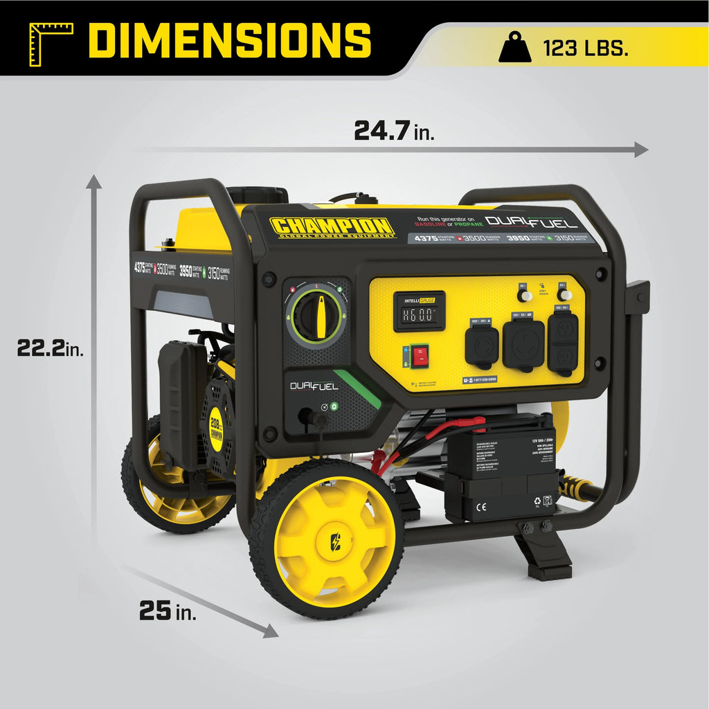 3500-Watt Dual Fuel Portable Generator L5761
